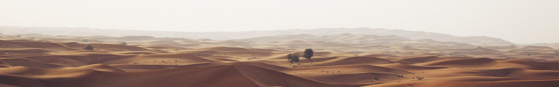 ԭľ޹˾